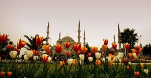 Фестивал на лалетата в Истанбул