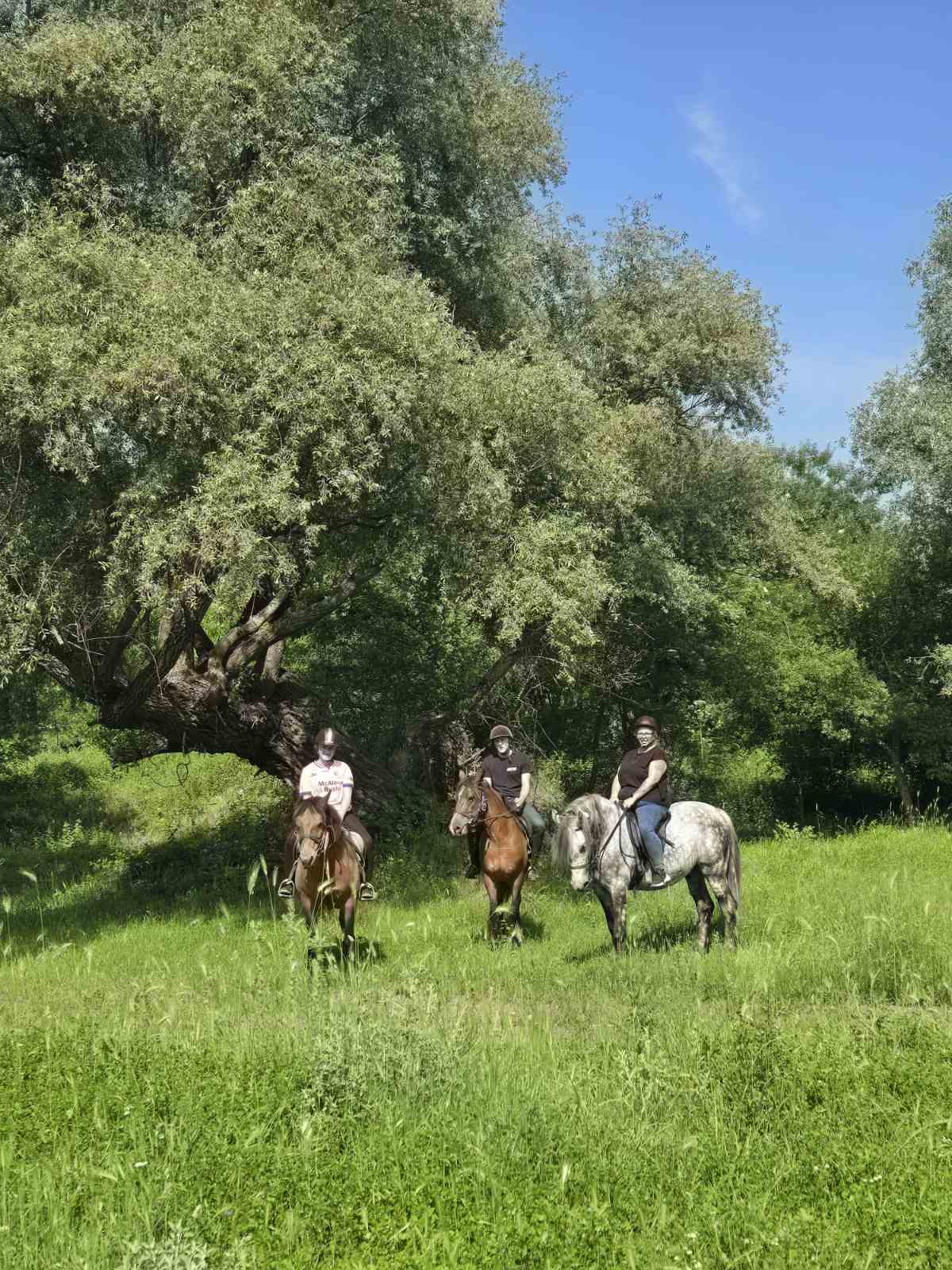 Мега джип сафари Слънчев бряг